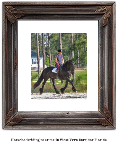 horseback riding near me in West Vero Corridor, Florida